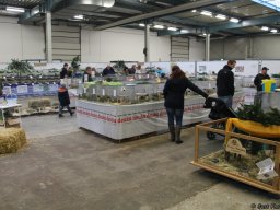 Lingener Kleintiertage November 2016